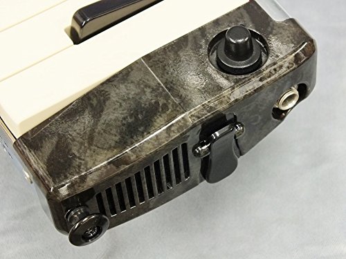 Hammond 44 Hyper 鍵盤ハーモニカ もう一つのハモンド Hammond 44 Hyper PRO-44HP - この街でどう